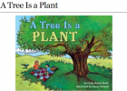 Webquest: A tree is a plant | Recurso educativo 34925