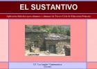 El sustantivo | Recurso educativo 35188