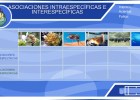 Asociaciones interespecíficas o intraespecíficas | Recurso educativo 35740