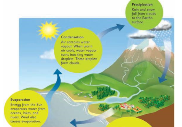 Water cycle | Recurso educativo 45566