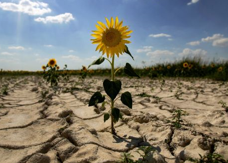 Cambio Climático | Recurso educativo 46218