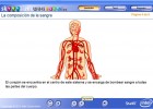 Composición de la sangre | Recurso educativo 49481