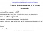 Citoesquelet | Recurso educativo 49798