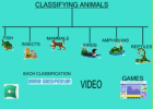 Classifying animals | Recurso educativo 50513