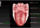 Interactivo: los sentidos del gusto y el olfato | Recurso educativo 10353