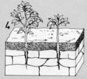 Índex fotos de geomorfologia | Recurso educativo 19324