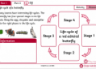 Life cycle of a butterfly | Recurso educativo 21761