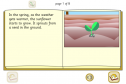 Life cycle of a sunflower | Recurso educativo 25491