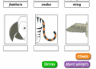 Wild animals and their parts | Recurso educativo 65090