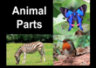 Video: Animal parts | Recurso educativo 69695