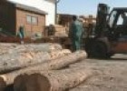 Wood processing industry | Recurso educativo 85583