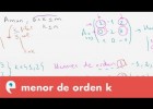 Menor de orden k y rango | Recurso educativo 109471