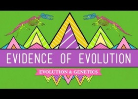 Evolution: It's a Thing - Crash Course Biology | Recurso educativo 749199